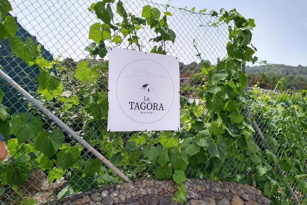 La Tagora Conect With The Nature & Relax Icod De Los Vinos Eksteriør billede